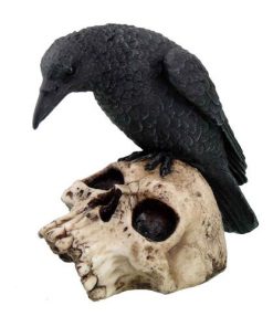 Raven on Skull