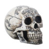 Hand-Painted Resin Ouija Skull