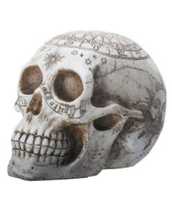 Hand-Painted Resin Astrology Skull