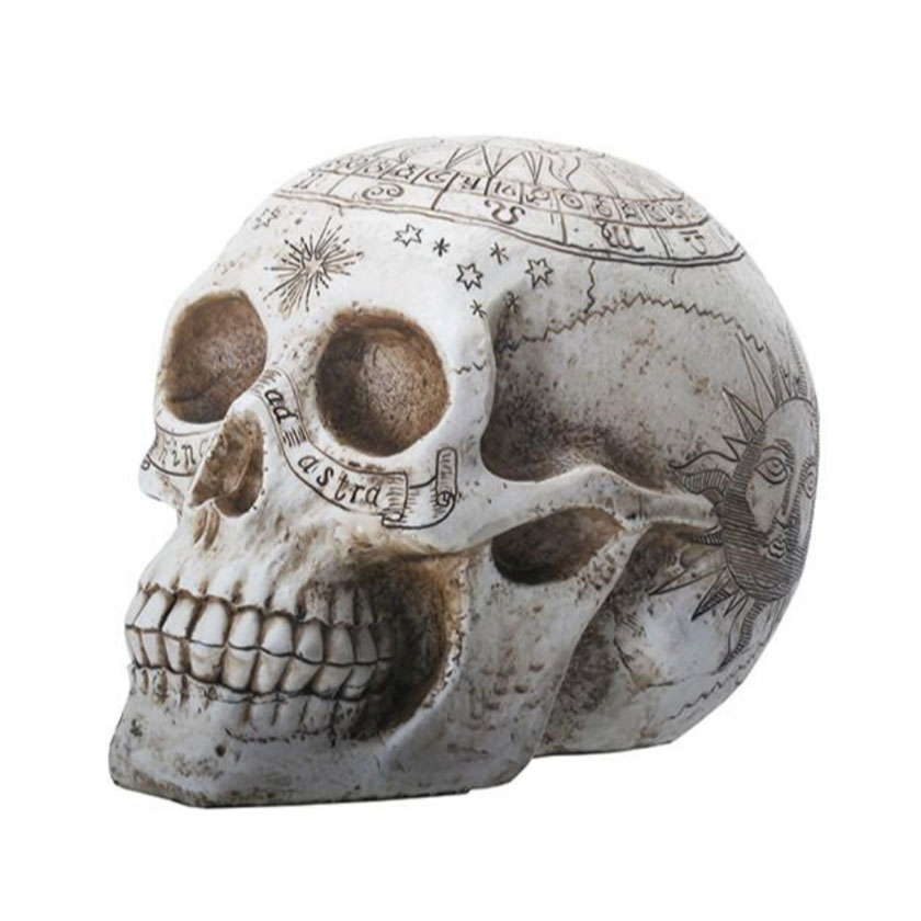 Hand-Painted Resin Astrology Skull