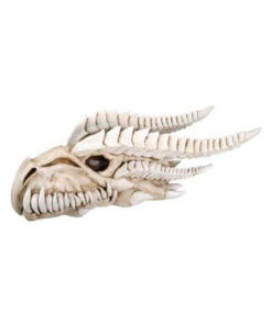 Hand-Painted Dragon Head Skull