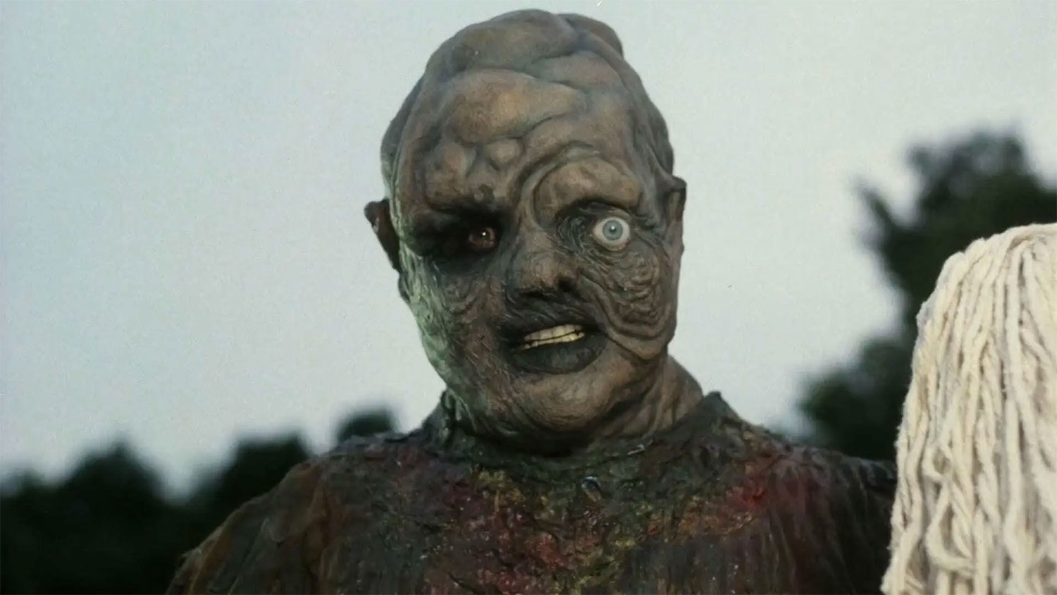 2024: A Year of Thrills and Chills in Horror Cinema - The Toxic Avenger